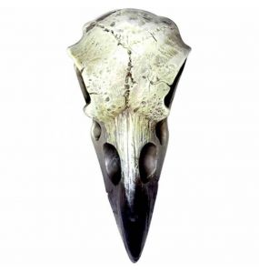 Crâne Reliquary Raven en Résine