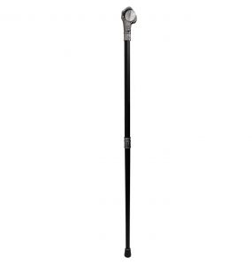 Males 'Dragon Claw' Walking Cane