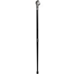 Males 'Dragon Claw' Walking Cane