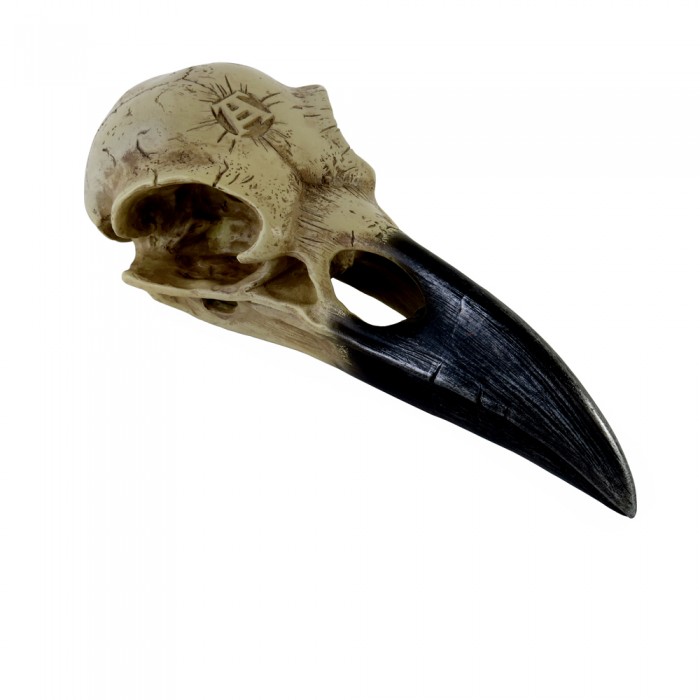 Resine Raven Skull 'Corvus Alchemica'