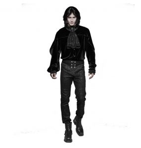 https://www.thedarkstore.com/32090-home_default/black-florian-victorian-gothic-pants.jpg
