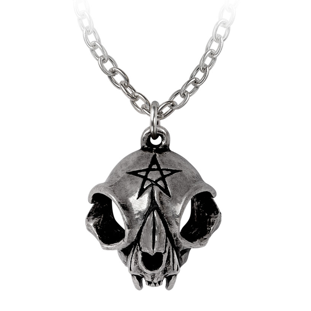 My Forever Friend Pendant by Alchemy Gothic • the dark store™