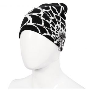 Black and White Spider Web Beanie