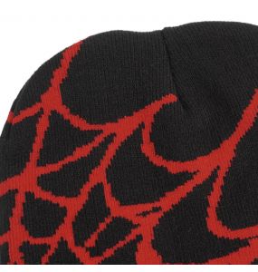 Black and Red Spider Web Beanie