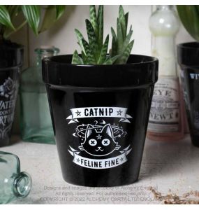 Black 'Catnip' Plant Pot