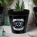 Black 'Catnip' Plant Pot