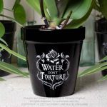 Black 'Water Don't Torture' Plant Pot