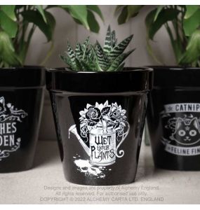 Black 'Wet Your Plants' Plant Pot