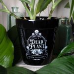 Black 'Dead Plant' Plant Pot