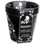 Black 'Dead Plant' Plant Pot