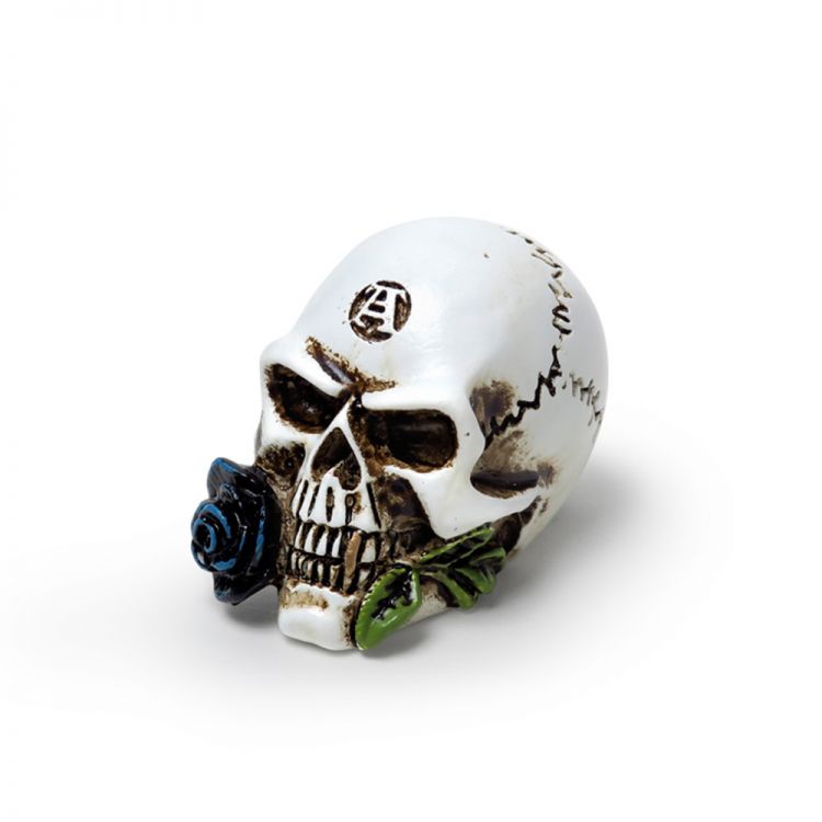 Alchemist Skull Miniature