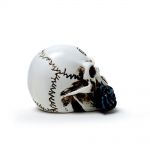 Alchemist Skull Miniature