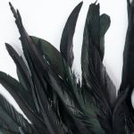 Black 'Monster Tree' Headband