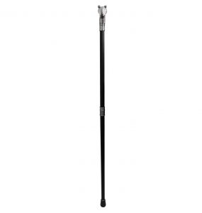 Males 'Dragon Claw' Walking Cane